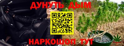спайс Малгобек