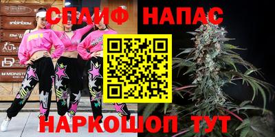 спайс Малгобек