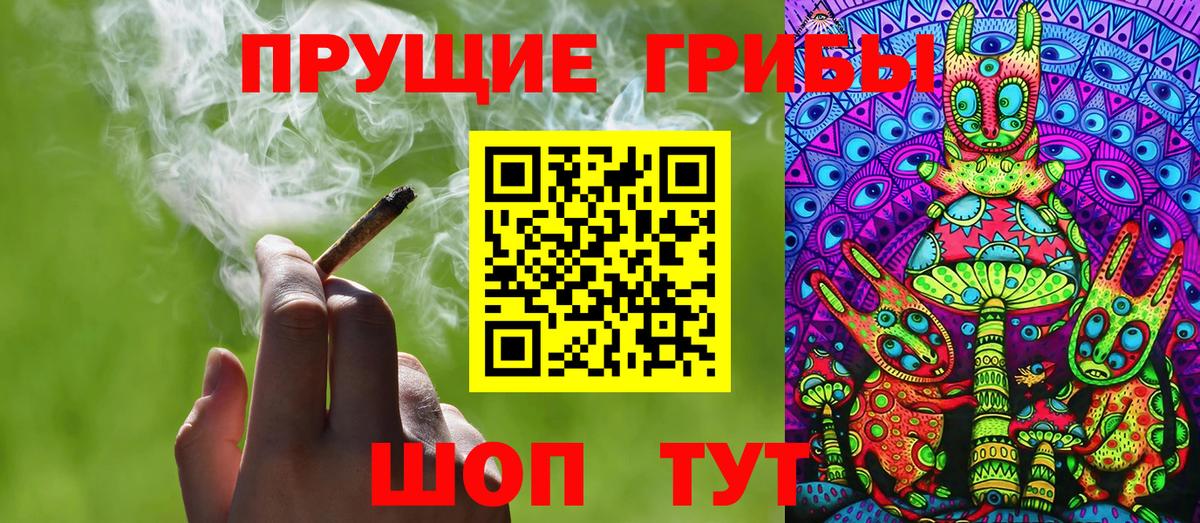 Псилоцибиновые грибы Cubensis  Галлюциногенные грибы прущие грибы  Вольск  Вход с VPN 