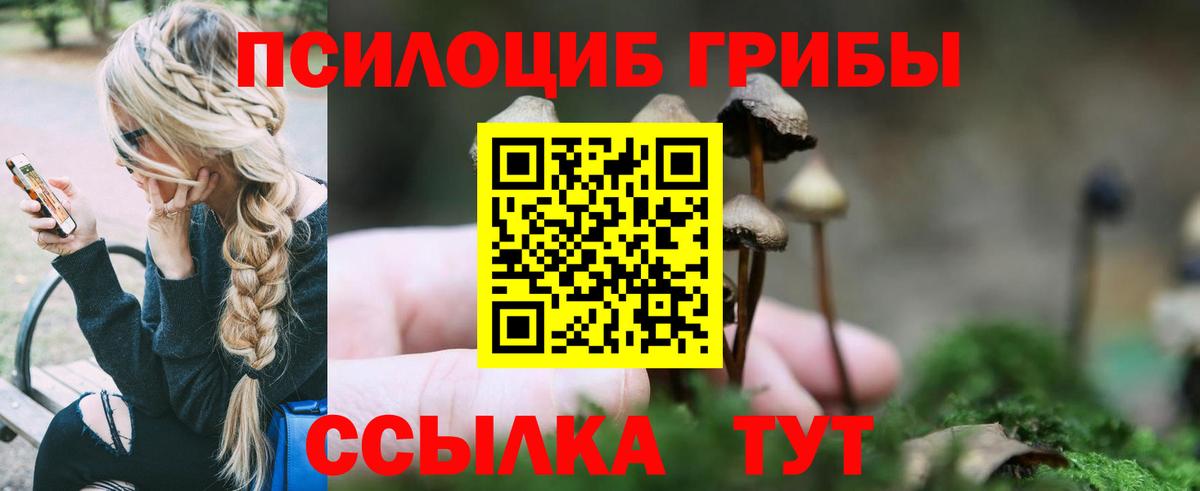 Псилоцибиновые грибы мицелий Вольск